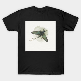 Stonefly T-Shirt